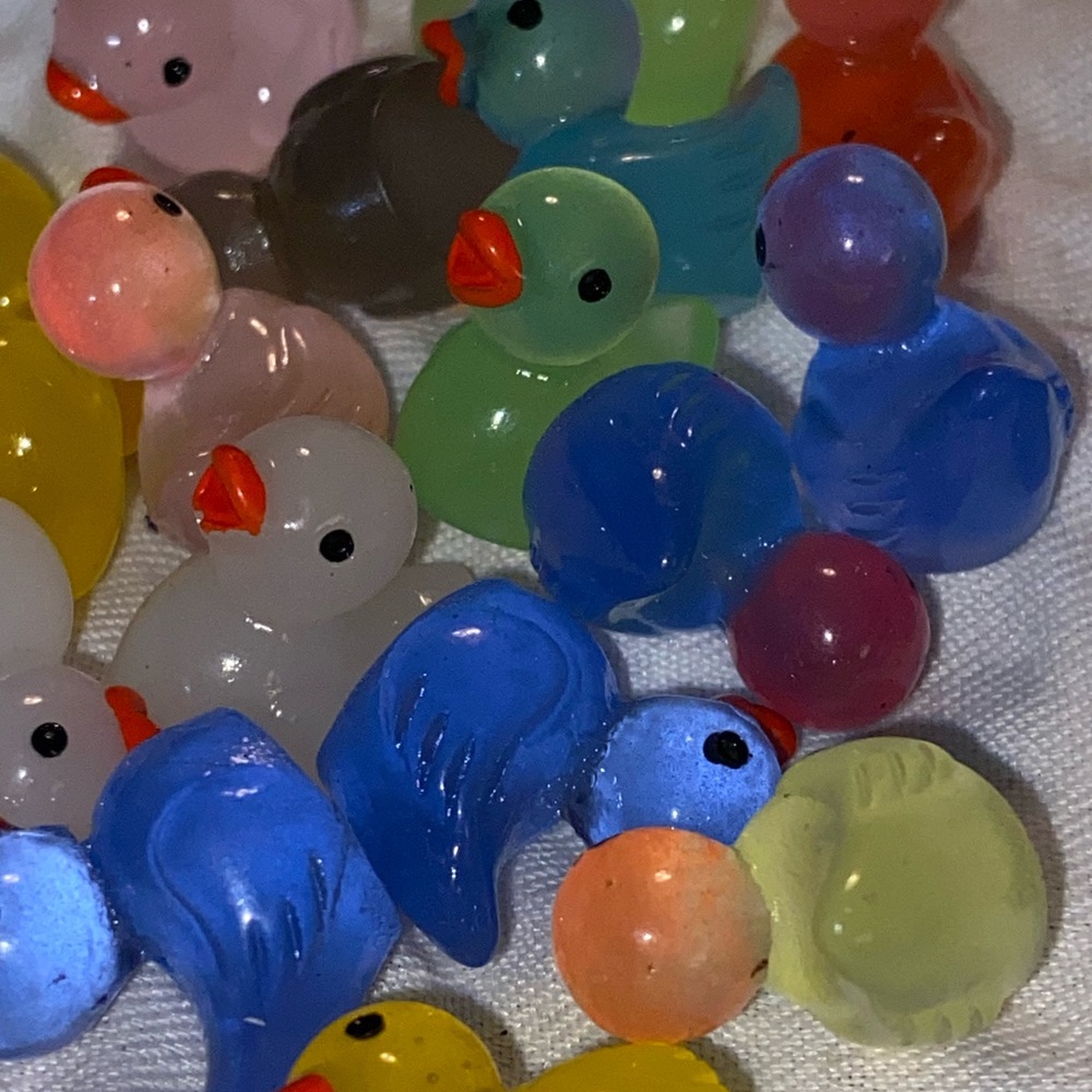 Colorful Acrylic Ducks